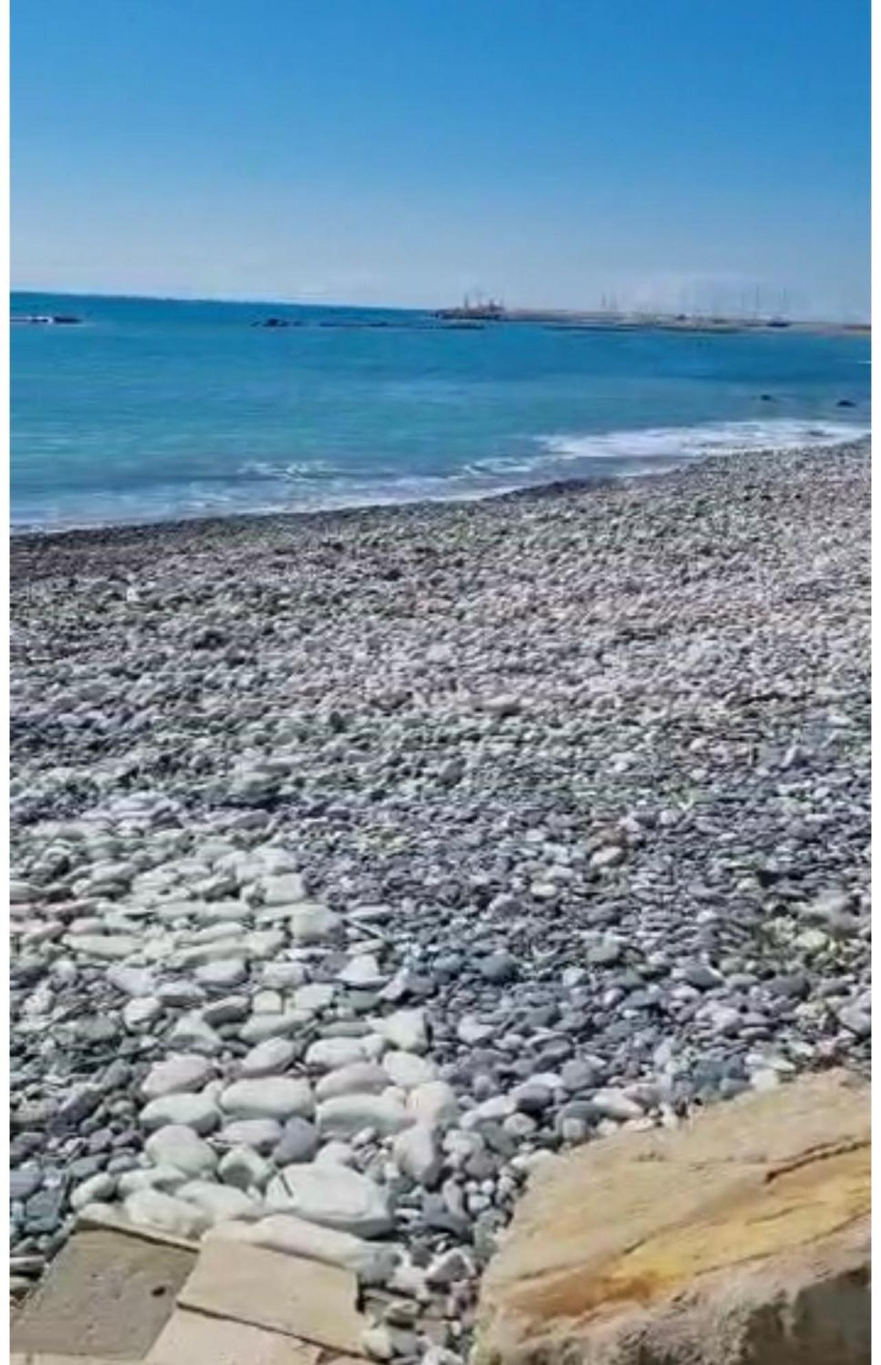 Zygi Beachfront Villa エクステリア 写真
