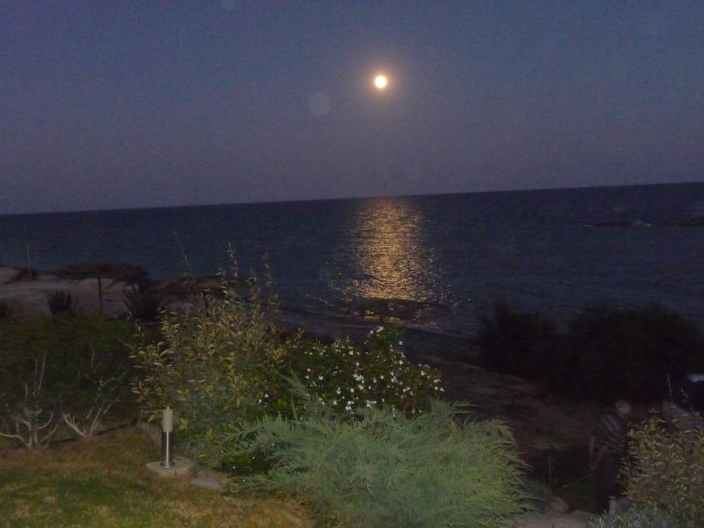 Zygi Beachfront Villa エクステリア 写真